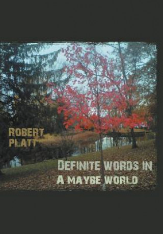 Knjiga Definite Words in a Maybe World Robert Platt