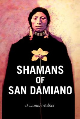 Книга Shamans of San Damiano J Lamah Walker