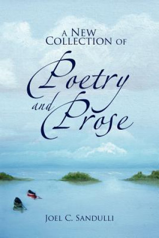 Carte New Collection of Poetry and Prose Joel Sandulli