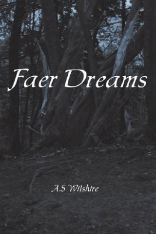 Książka Faer Dreams A S Wilshire