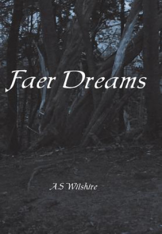 Książka Faer Dreams A S Wilshire