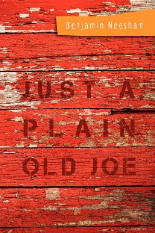 Livre Just a Plain Old Joe Benjamin Neesham