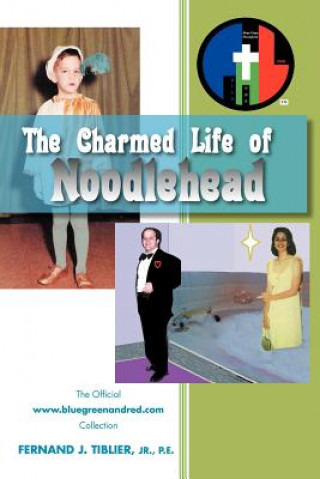 Kniha Charmed Life of Noodlehead Fernand J P E Jr Tiblier