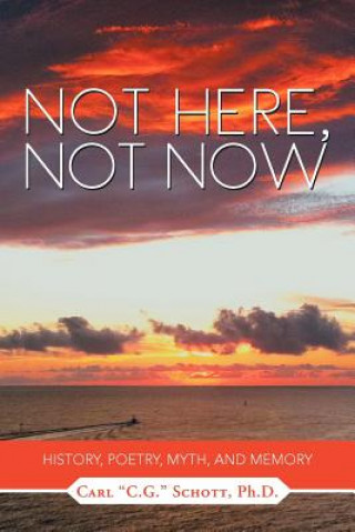 Книга Not Here, Not Now C G Schott