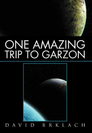 Kniha One Amazing Trip to Garzon David Brklach