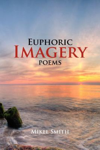 Book Euphoric Imagery Mikel Smith