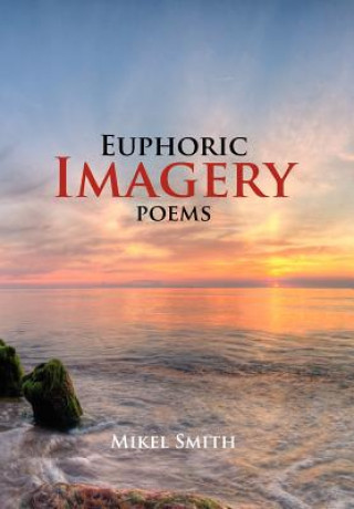 Book Euphoric Imagery Mikel Smith