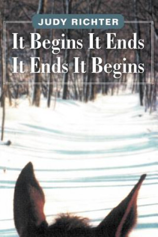 Livre It Begins It Ends It Ends It Begins Judy Richter