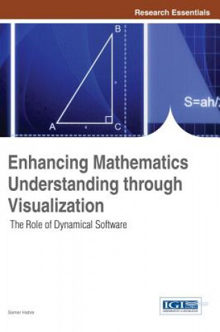 Könyv Enhancing Mathematics Understanding through Visualization Samer Habre