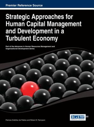 Kniha Strategic Approaches for Human Capital Management and Development in a Turbulent Economy Ordonez De Pablos