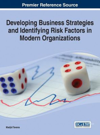 Kniha Developing Business Strategies and Identifying Risk Factors in Modern Organizations Madjid Tavana