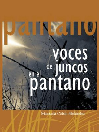 Buch Voces de Juncos En El Pantano Maricela Colon Melendez