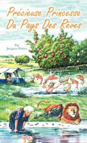 Buch PR Cieuse Princesse Du Pays Des R Ves Jacques Prince