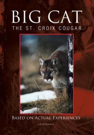 Book Big Cat J D Beaufeaux