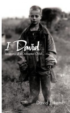 Kniha I David David J Lamb
