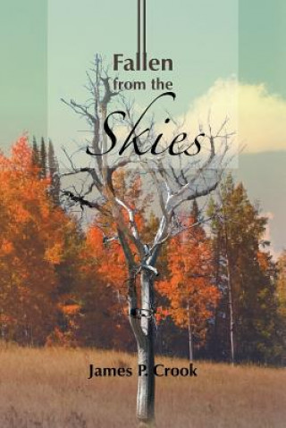 Buch Fallen from the Skies James P Crook
