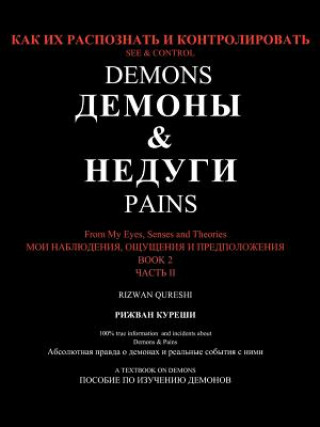 Kniha See & Control Demons & Pains Rizwan Qureshi
