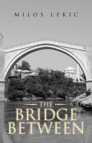 Könyv Bridge Between Milos Lekic