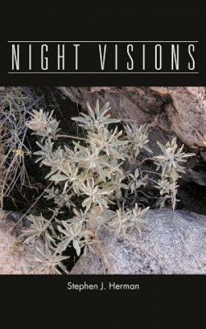 Livre Night Visions Stephen J Herman