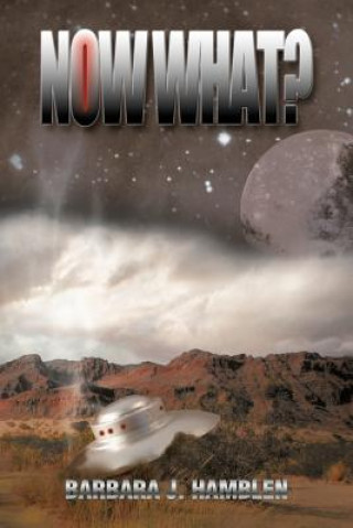 Book Now What? Barbara J Hamblen
