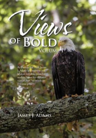 Книга Views of Bold James J Adams