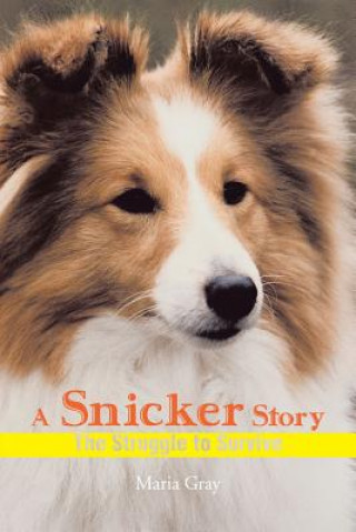 Книга Snicker Story Maria Gray