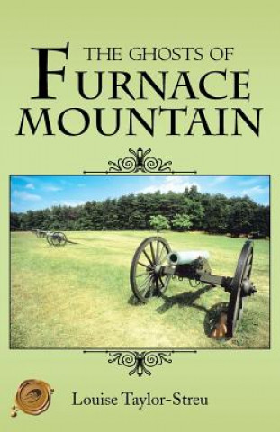 Buch Ghosts of Furnace Mountain Louise Taylor-Streu