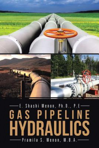 Könyv Gas Pipeline Hydraulics Pramila Menon