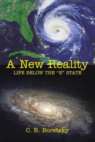 Book New Reality C R Boretsky