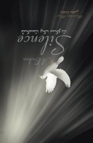 Knjiga Broken Silence Mandana Mazi