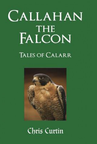 Книга Callahan the Falcon Chris Curtin