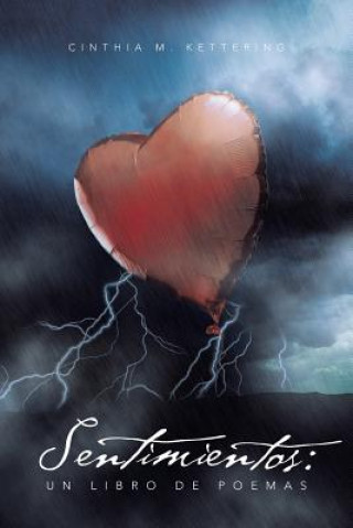 Libro Sentimientos Cinthia M Kettering