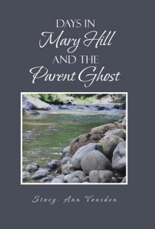 Könyv Days in Mary Hill and the Parent Ghost Stacy - Ann Vousden