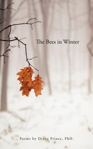 Kniha Bees in Winter Diana Prince Phd