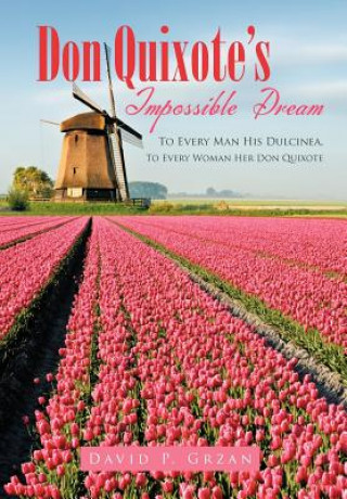 Buch Don Quixote's Impossible Dream David P. Grzan