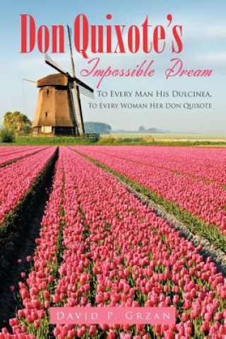 Buch Don Quixote's Impossible Dream David P Grzan