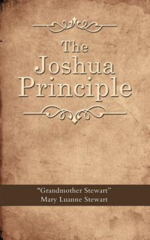 Könyv Joshua Principle Mary Luanne Stewart