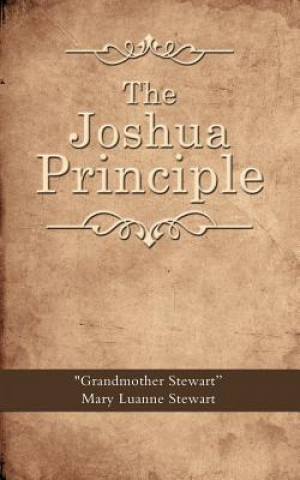 Libro Joshua Principle Mary Luanne Stewart