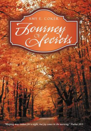 Kniha Journey of Secrets Amy E Coker