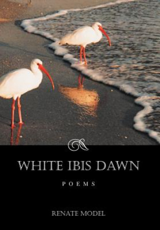 Buch White Ibis Dawn Renate Model