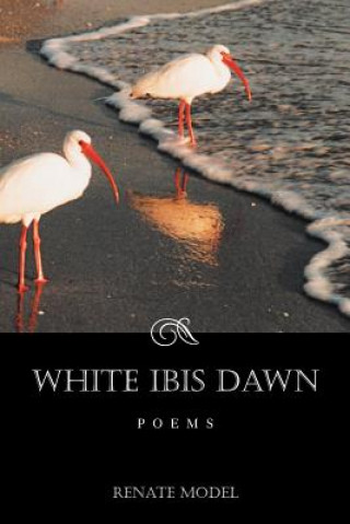 Buch White Ibis Dawn Renate Model