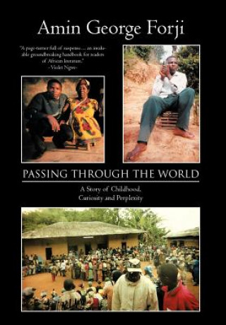 Book Passing Through the World Amin George Forji