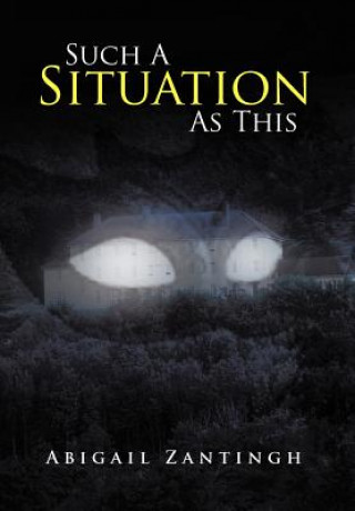 Buch Such a Situation as This Abigail Zantingh