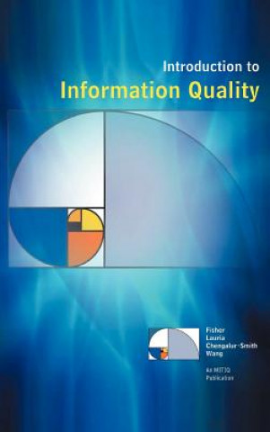 Kniha Introduction to Information Quality S Chengalur-Smith