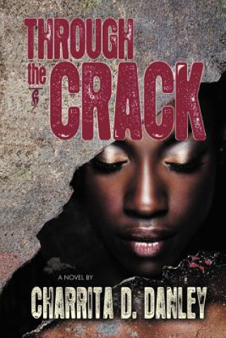 Knjiga Through the Crack Charrita D Danley