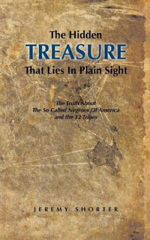 Buch Hidden Treasure That Lies in Plain Sight Jeremy Shorter