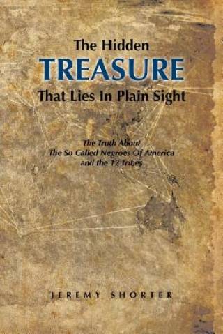 Kniha Hidden Treasure That Lies in Plain Sight Jeremy Shorter