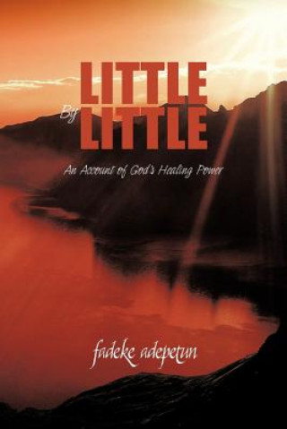 Книга Little by Little Fadeke Adepetun