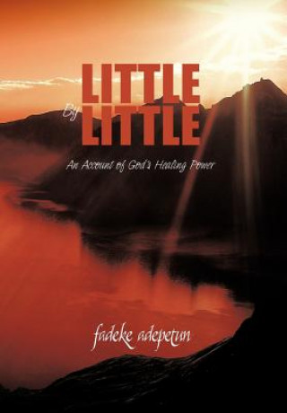 Kniha Little by Little Fadeke Adepetun