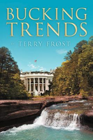 Książka Bucking Trends Terry Frost